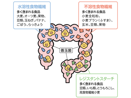 発酵性食物繊維／小麦由来アラビノキシラン